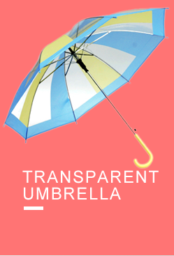 TRANSPARENT UMBRELLA